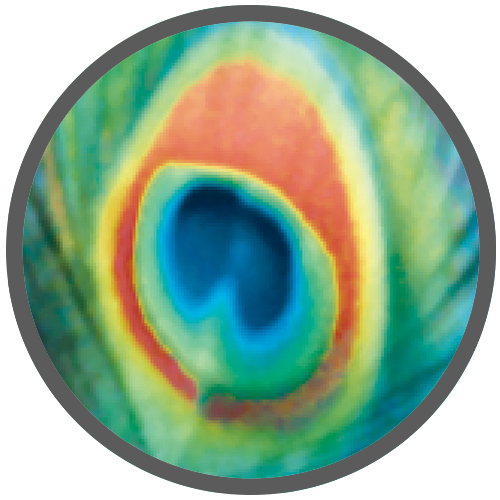 logocircle